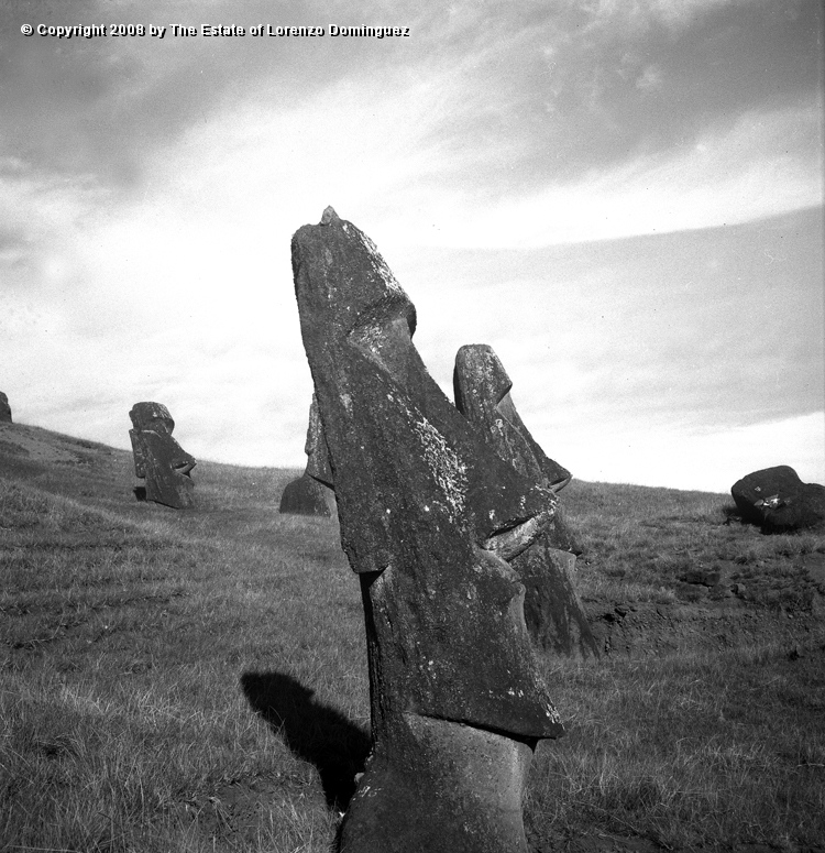 RRE_Angel_06.jpg - Easter Island. 1960. Moai on the exterior slope of Rano Raraku. Identified by Lorenzo Dominguez as "The Angel."
